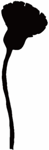 OLIVER CHURCH SALE - Oliver Church