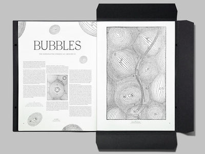 Issue 8