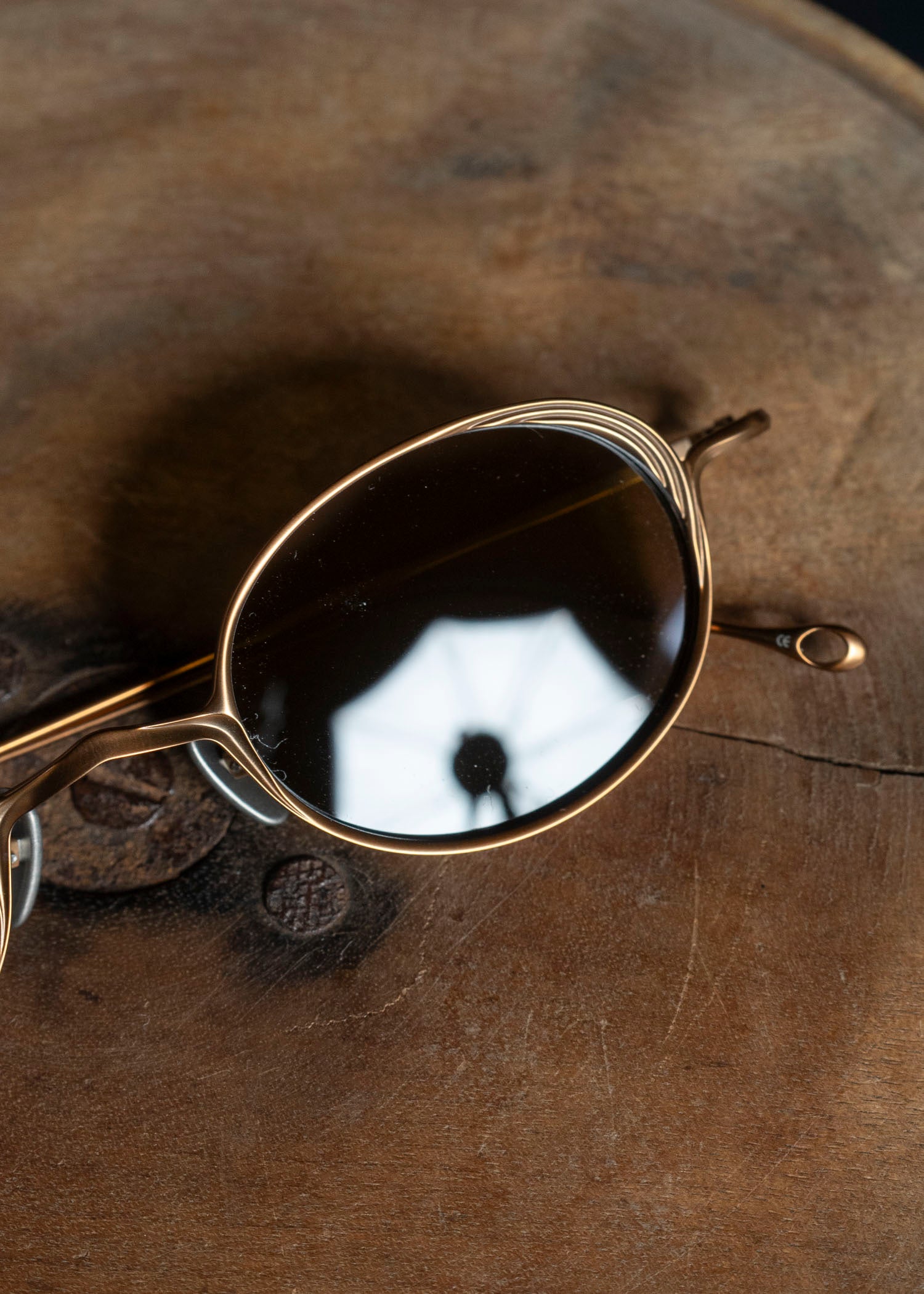 RIGARDS RG1076TI BRONZE (FRAME) BRONZE(LENS)