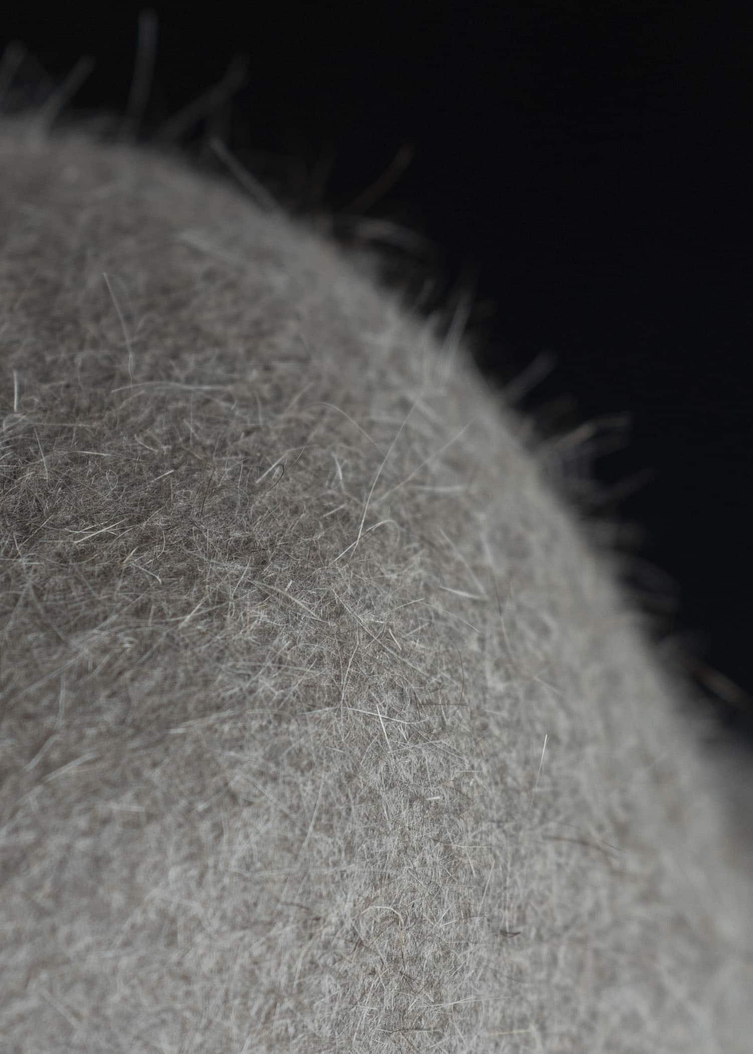 JAN-JAN VAN ESSCHE HAT#9 RABBIT FAR FELT