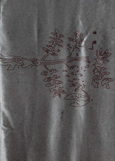 Peng Tai PTS24M13 30 x 142cm SILK SCARF RANDOM COLOR