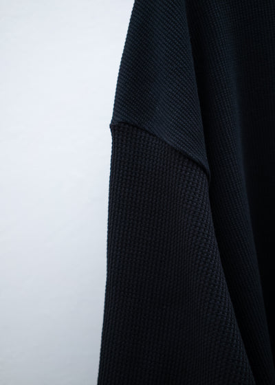 Professor E Waffle Henley