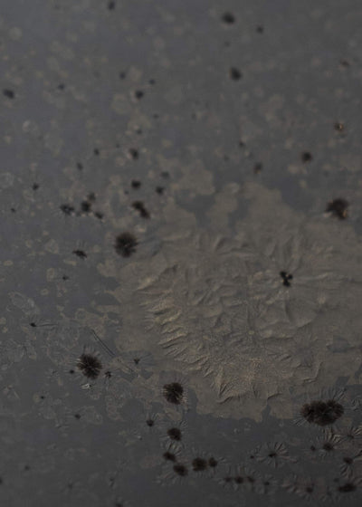 Professor.E OBJECT BY 1218 X PROFESSOR.E - TRAY 25SS-1218-03