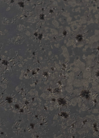 Professor.E ASHTRAY 25SS-1218-04