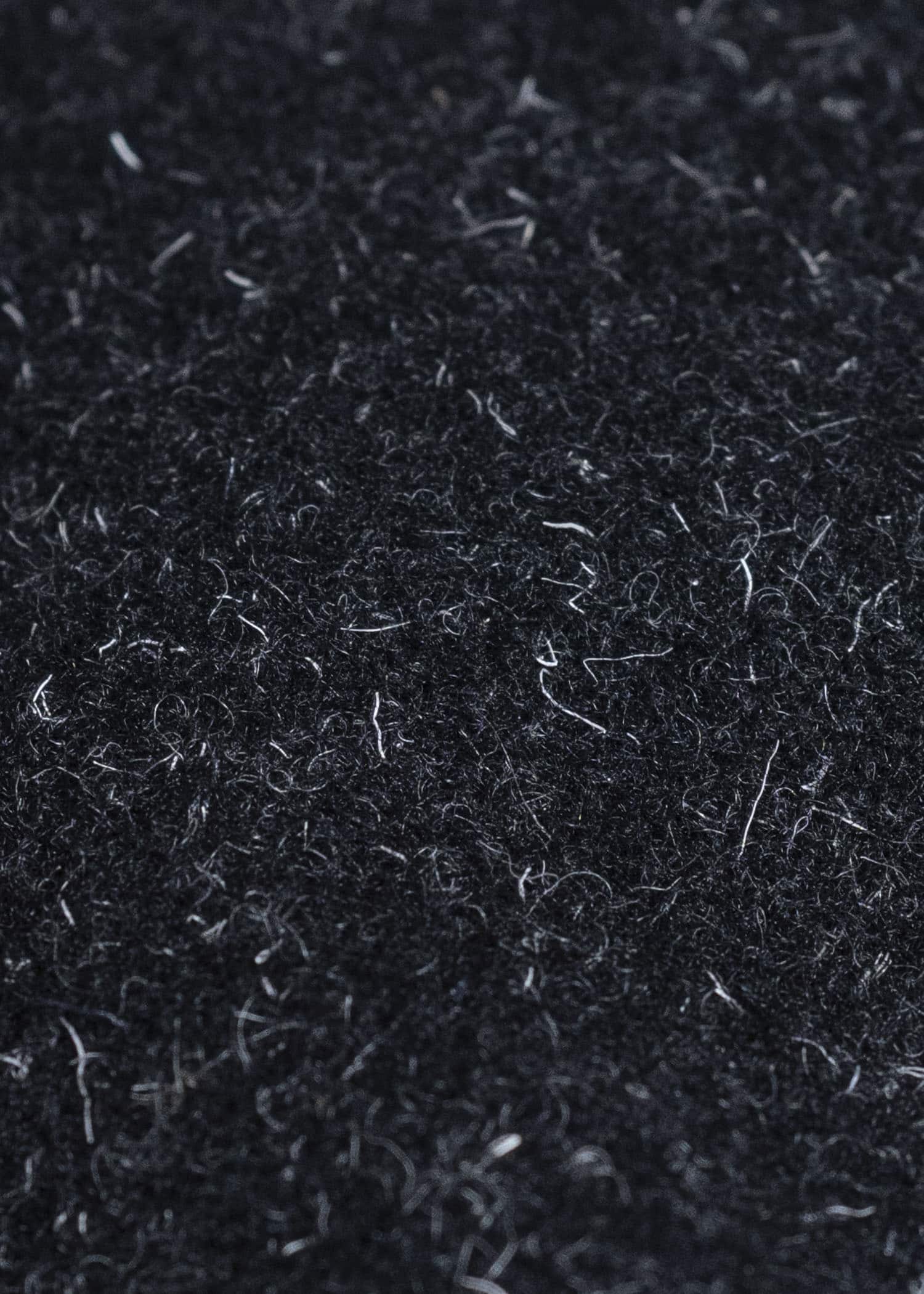 YOKO SAKAMOTO Coach Jacket YS-25AW-04 BLACK