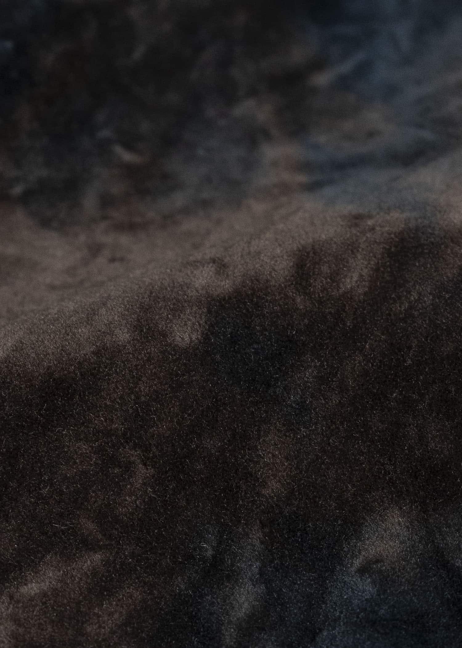 ZIGGY CHEN 0M2530905 VELVET STAND COLLAR BLAZER 25