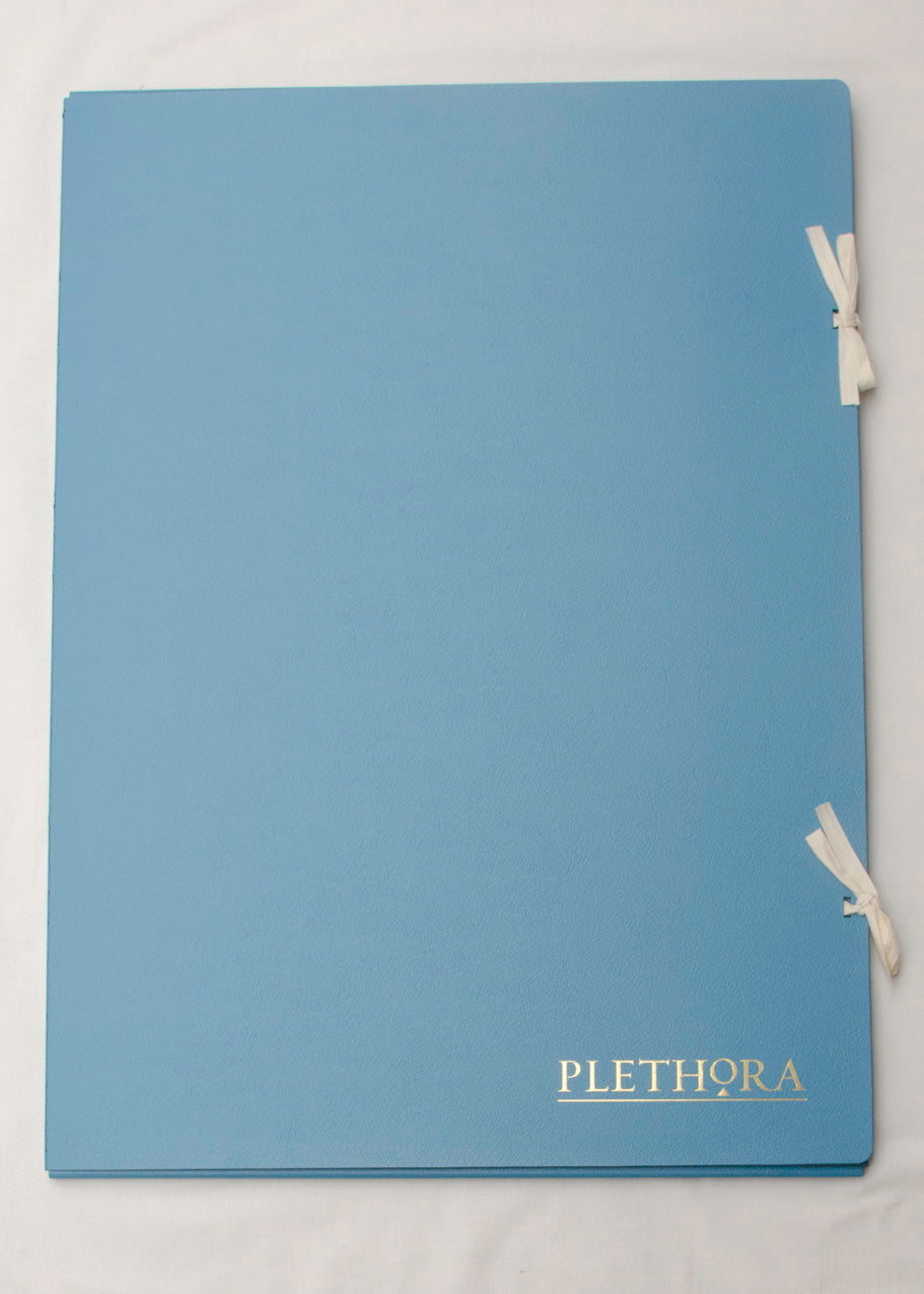 PLETHORA MAGAZINE Issue 11