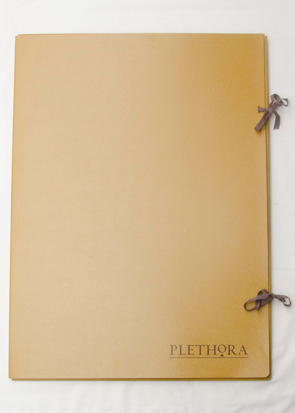 PLETHORA MAGAZINE Issue 12