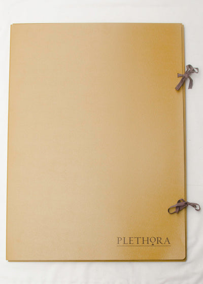 PLETHORA MAGAZINE Issue 12