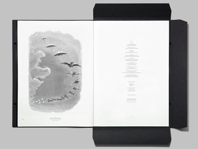 Issue 8