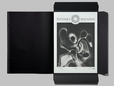 Issue 8