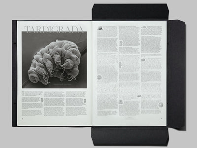 PLETHORA MAGAZINE Issue 9