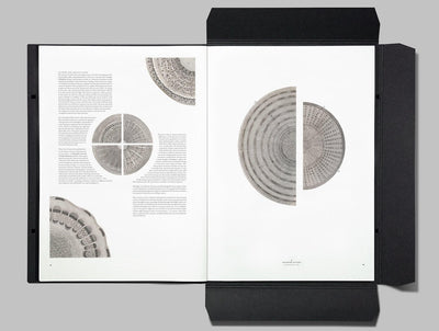 Issue 8