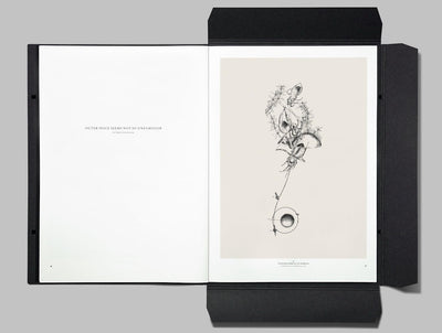 Issue 8